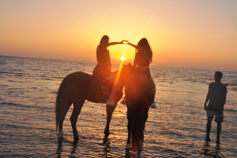 DJERBA : Paseo a caballo privado (2h).