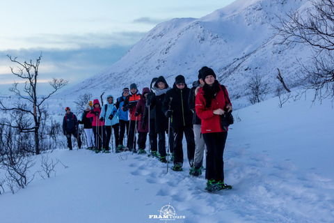 Arctic hike on the island of Kvaløya with drinks and snacks