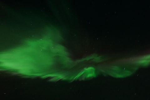 Rovaniemi Northern Lights – The Real Guaranteed Hunt