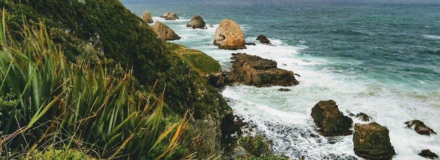 Excursion aller simple de Dunedin à Te Anau via The Catlins et Invercargill