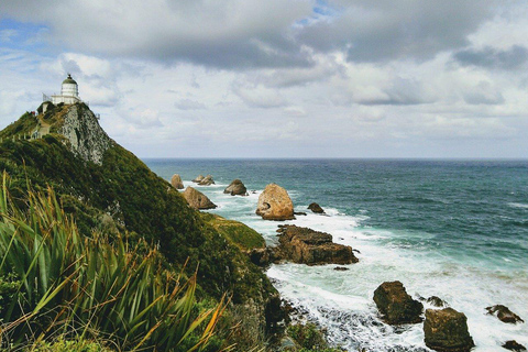 Dunedin: The Catlins e Invercargill (excursão só de ida) para Te AnauDunedin: Catlins e Invercargill (excursão só de ida) para Te Anau