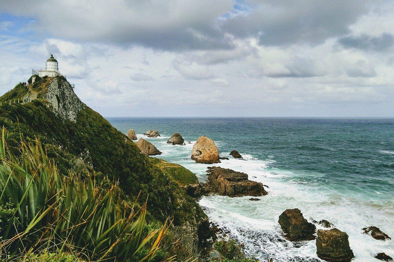 Te Anau to Dunedin via Catlins Small-Group Tour (One-Way)