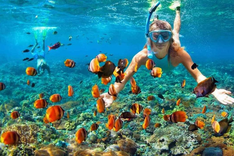 Visita às ilhas Cham e mergulho com snorkel e autônomoExcursão em grupo