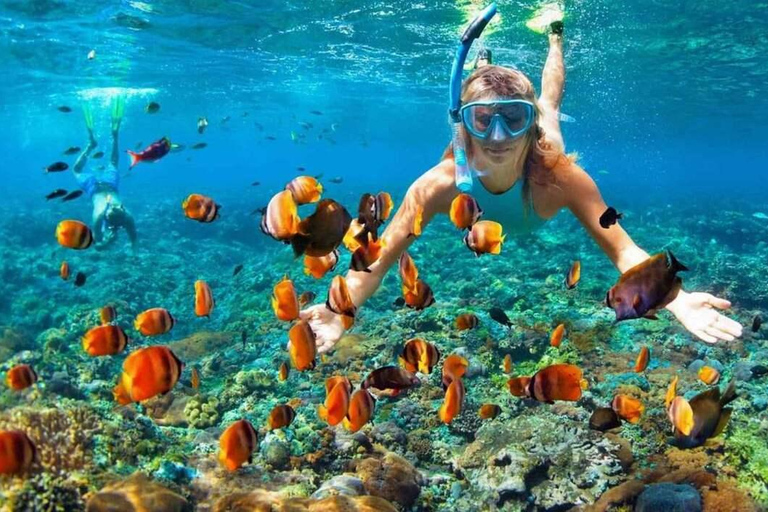 Visite des îles Cham, plongée en apnée et plongée sous-marineVisite de groupe