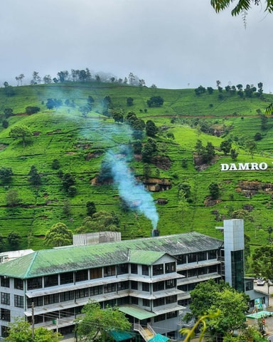 Kandy to Nuwara Eliya Drop Tour - Visiting Famous Places