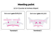 Incheon Flughafen, Reisende SIM & T-Geld Transport Card - Hizvo