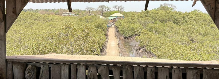 L'essence de la Gambie (Serrekunda - Lamin Lodge - Brikama - Tanji)