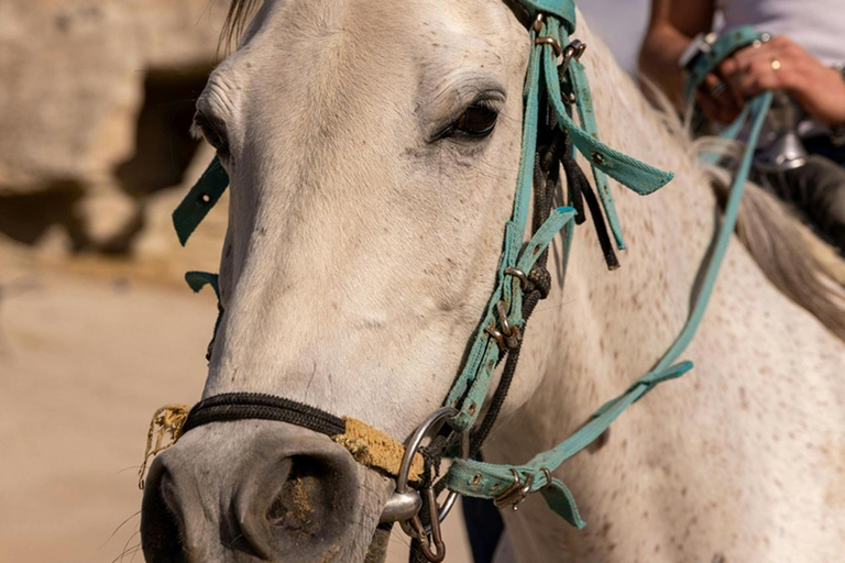 Cappadocia: Horse Riding Adventure Through Fairy Chimneys 1 Hour Daytime Horse Riding
