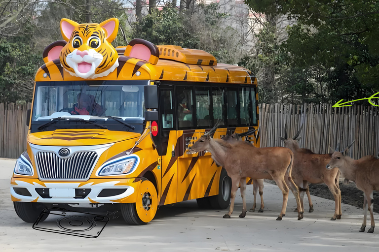 Shanghai Wildlife Park Panda & Predator Feeding Tour