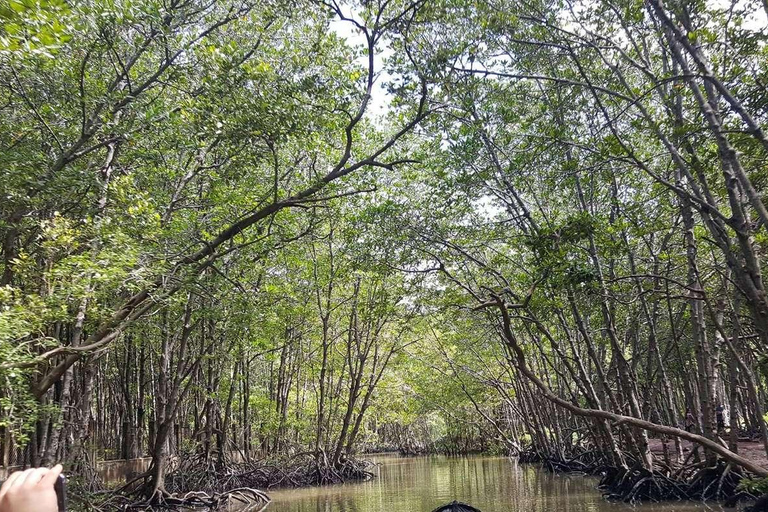 Can Gio Mangrove Forest and Monkey Island full day tour