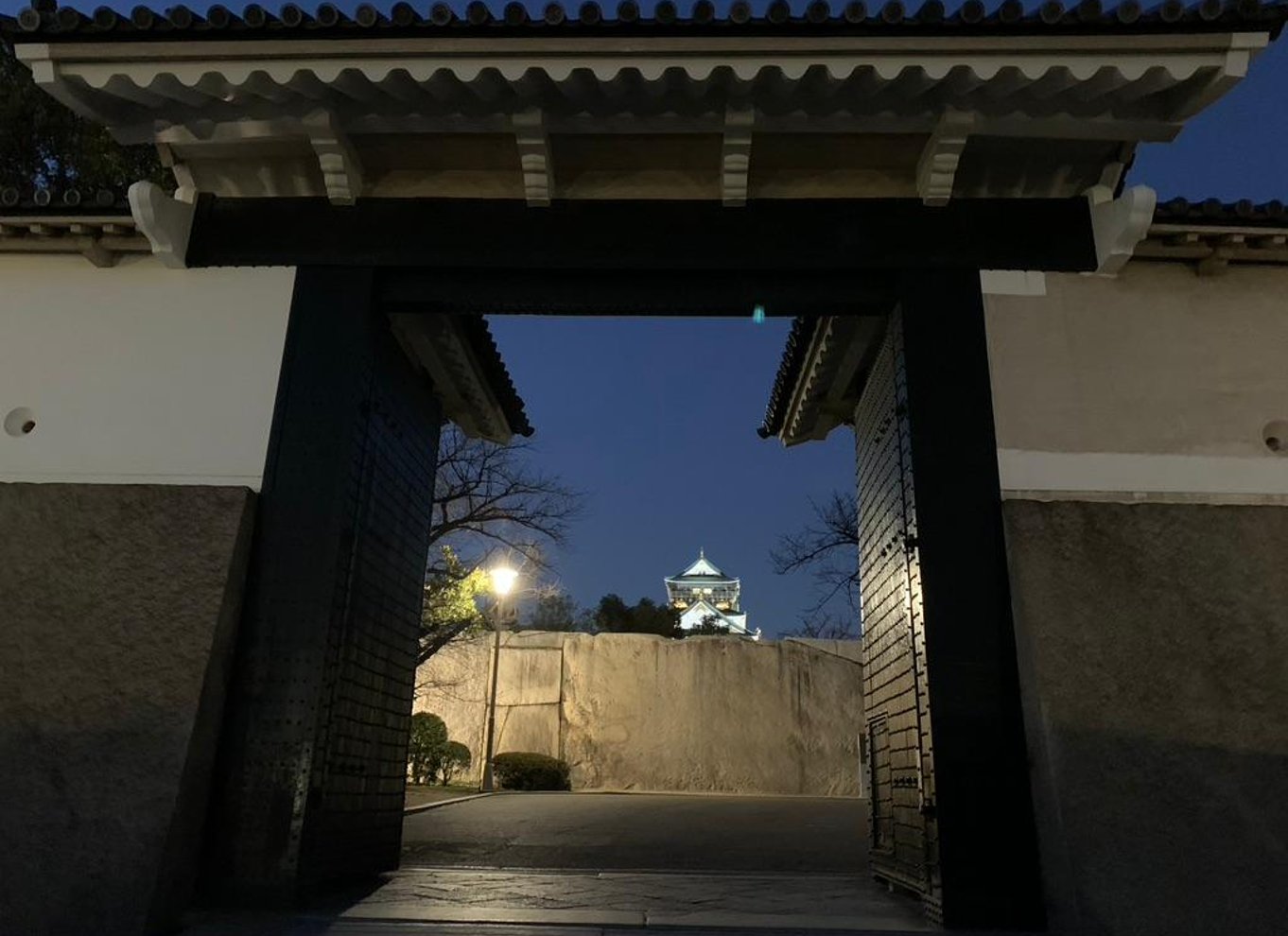 Osaka: Entré til slotstårnet / guidet byvandring