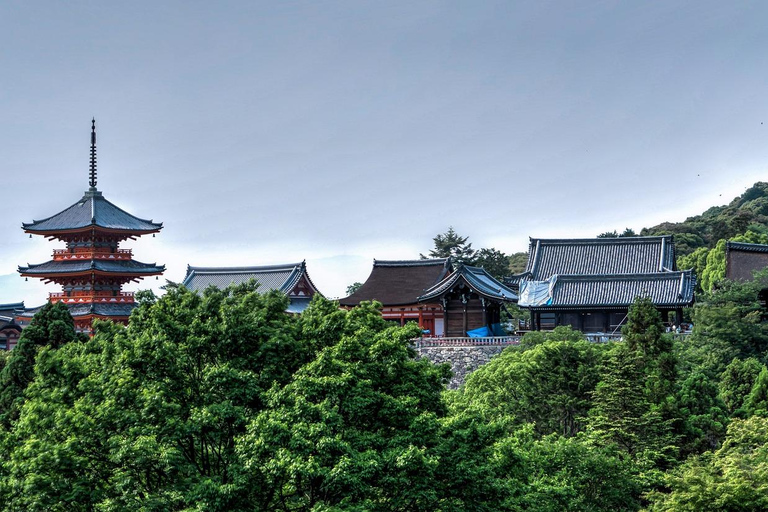 Entdecke Nara, Kiyozumi-dera &amp; Fushimi Inari von Osaka aus