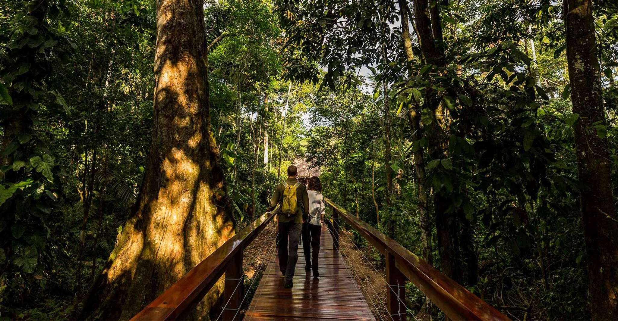 Excursion to Sandoval Lake 4D/3N + birdwatching - Housity