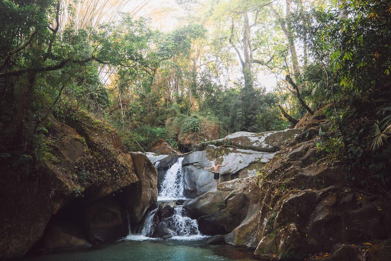 Waterfall, Cacao and Coffe Tour