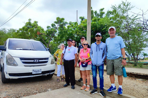 Guided city sightseeing tour for cruise ship passengers with transportation to the cruise port Free Guided City Sightseeing Tour for Cruise Ship Passengers with Transportation to the Harbor