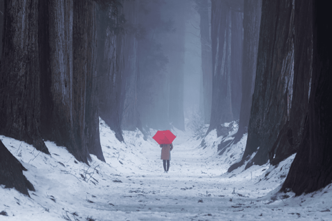 长野：雪猴与戸隠神社一日双景之旅从野泽温泉、妙高和上越地区接送。