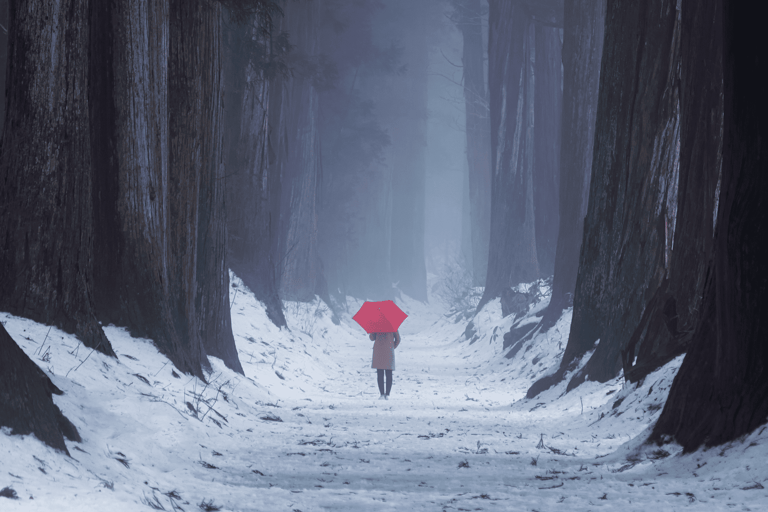 长野：雪猴与戸隠神社一日双景之旅从野泽温泉、妙高和上越地区接送。