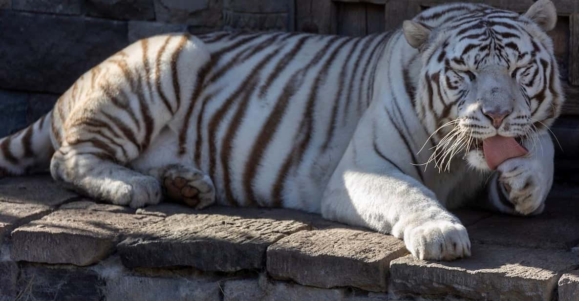 Afbeelding 2 van Brugelette: Pairi Daiza Zoo inclusief toegangsbewijs voor 'Edenya'