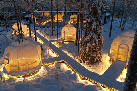 Rovaniemi: jantar privado em iglu com aurora borealRovaniemi: jantar privado no Aurora Dome com transfers