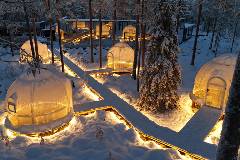Rovaniemi: jantar privado em iglu com aurora borealRovaniemi: jantar privado no Aurora Dome com transfers