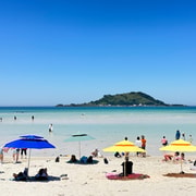 Jeju West: Small Group Healing Tour w/Caves & Dolphins