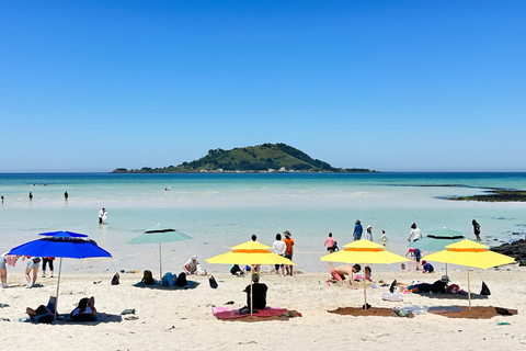 Jeju West: Healing UNESCO Small Group Day Tour