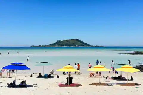 Western Jeju Healing UNESCO Small Group Day Tour