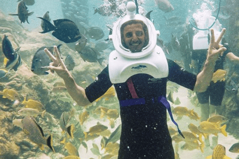 Underwater Sea Walking - Red Sea of Aqaba Underwater Sea Walking - Red Sea of Aqaba