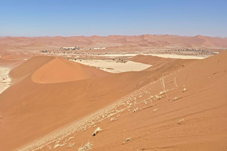 From Swakopmund: 2-Day Sossusvlei Scenic Journey (1 Night)