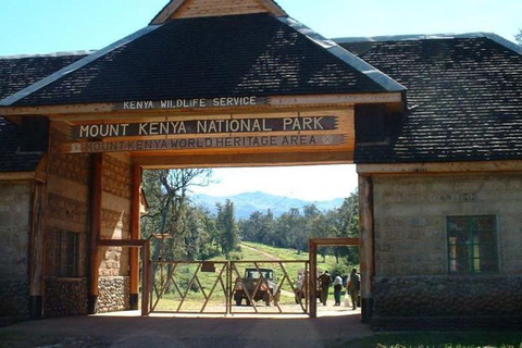 Day Tour To Mt Kenya