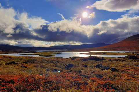 Abisko: Inkanjaure Hidden Lake Hike