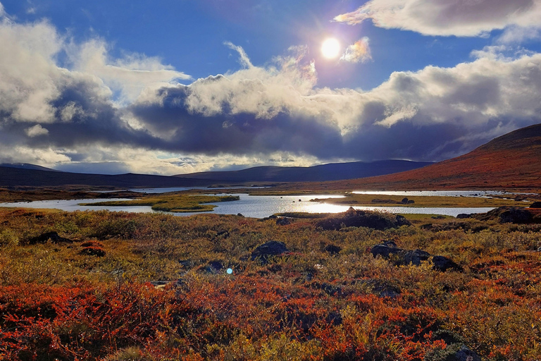Abisko: Inkanjaure Hidden Lake Hike