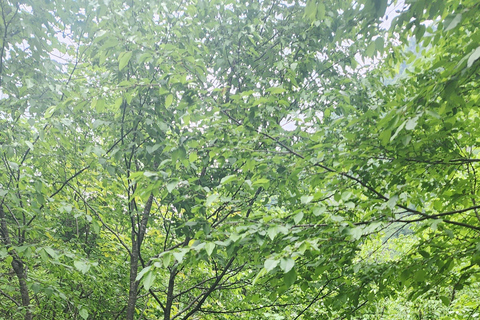 阿尔巴尼亚周边 10 天导游游（半食宿基地）