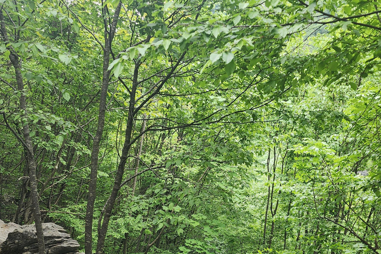 阿尔巴尼亚周边 10 天导游游（半食宿基地）