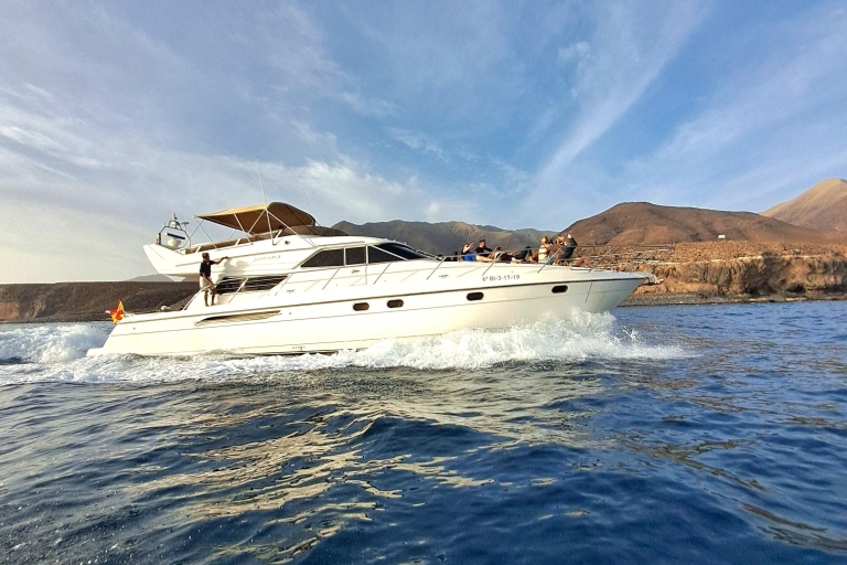 Delfin- und Walbeobachtung mit LuxusyachtFuerteventura: Luxuriöse Yachttour mit Schnorcheln