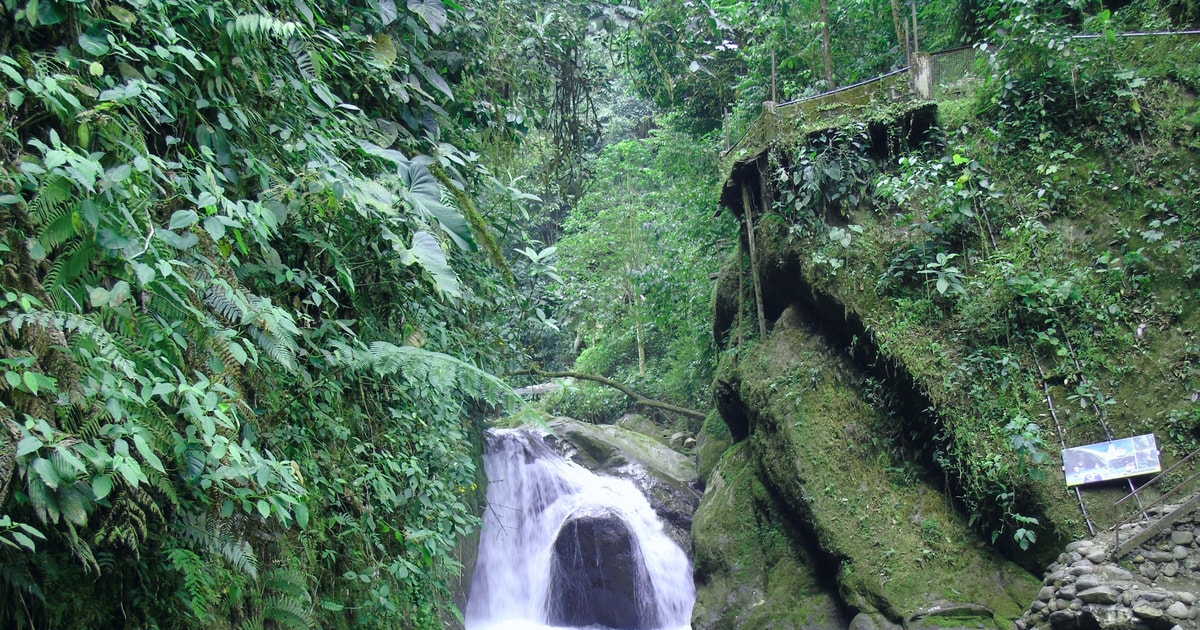 Desde Quito Bosque Nublado De Mindo Deporte Extremo Incluido