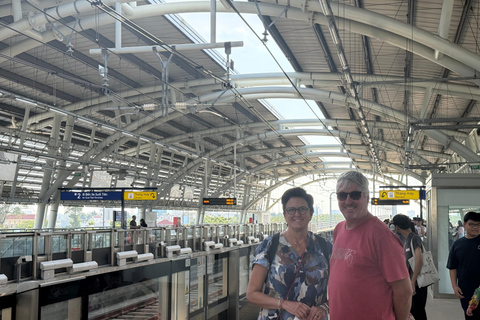 Ho Chi Minh City Sightseeing Phu My Port Shore Excursion Private Premium Car Tour With Massage