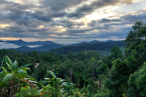 Chiang Mai: Doi Suthep, Wat Pha Lat & Sticky Waterfall TourChiang Mai: Doi Suthep-tempel en unieke kleverige waterval