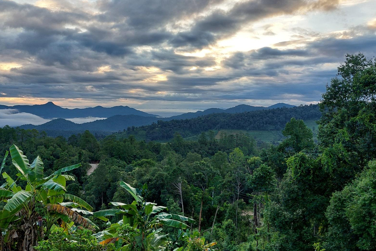 Chiang Mai: Doi Suthep, Wat Pha Lat & Sticky Waterfall TourChiang Mai: Doi Suthep-tempel en unieke kleverige waterval