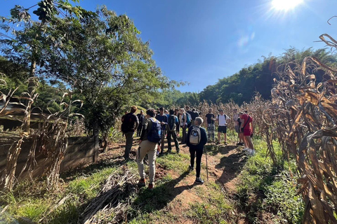 Authentic trek only walk in Chiang Rai jungle Authentic trek only walk in ChiangvRaiv jungle