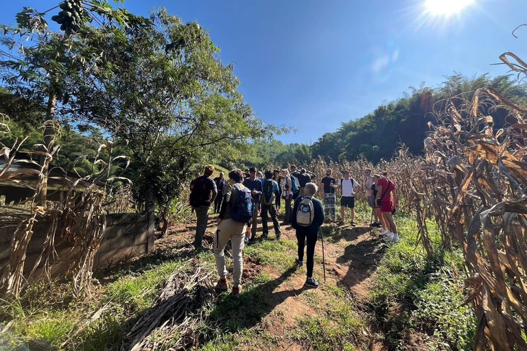 Authentic trek only walk in Chiang Rai jungle Authentic trek only walk in ChiangvRaiv jungle