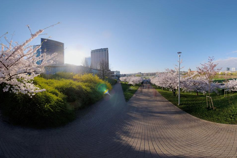 Virtual reality movie - experience I AM LITHUANIA