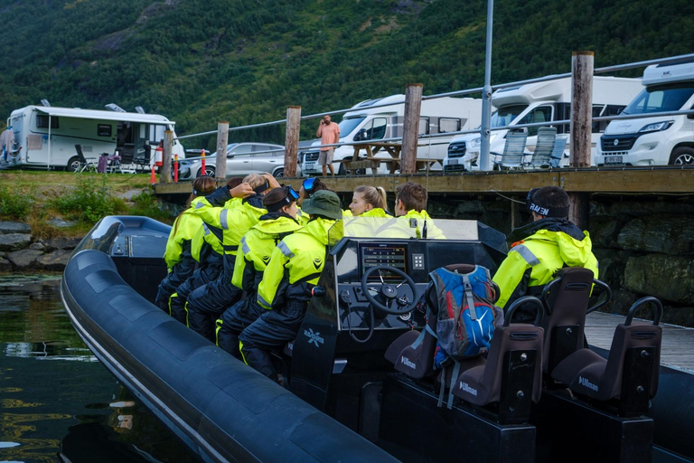 From Hellesylt: Experience Fjordsafari Geirangerfjord on RIB
