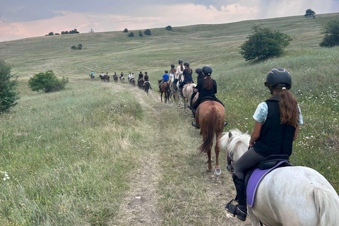Muscel: The Hidden Trails: Full-Day Horseback Exploration