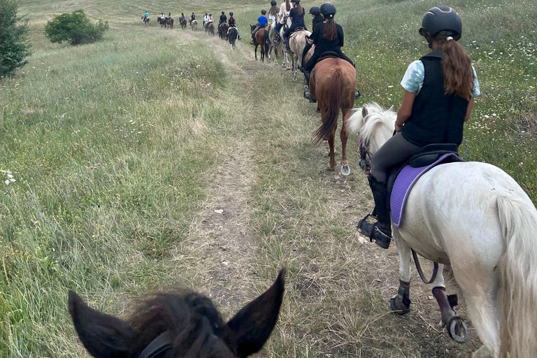 Muscel: The Hidden Trails: Full-Day Horseback Exploration