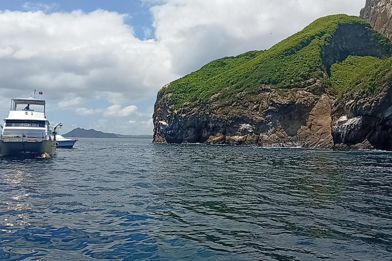 Quito: Galapagos Islands 4-Day Tour with Flights