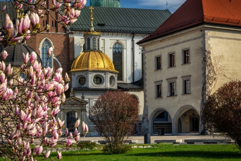 Skip-the-line Wawel-kathedraal in privétour in Krakau4 uur: Wawel-heuvel, kathedraal, staatskamers en kroonschatkamer