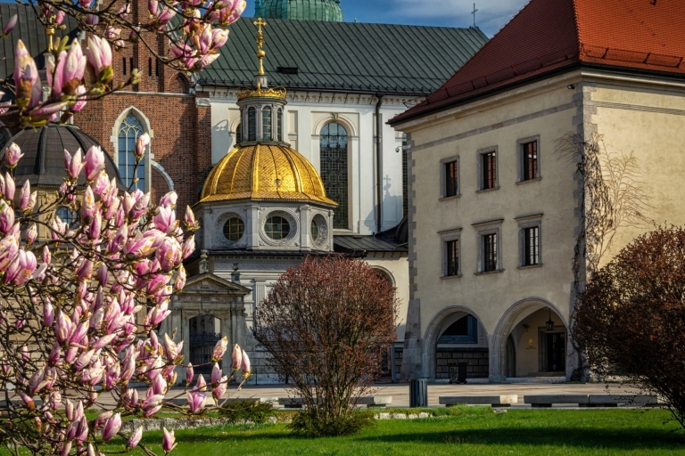 Visita privada sin colas a la Catedral de Wawel de Cracovia2 horas: Colina de Wawel y Catedral