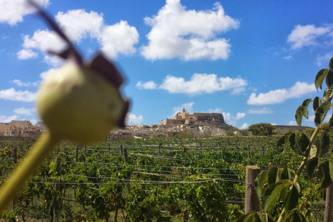 Visite à pied de Gozo Victoria