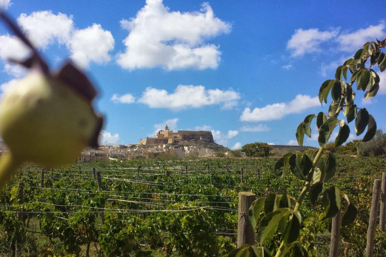 Tour a piedi di Gozo Victoria